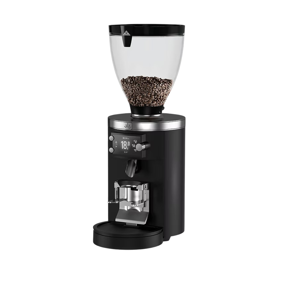 Mahlkonig E80W GbS